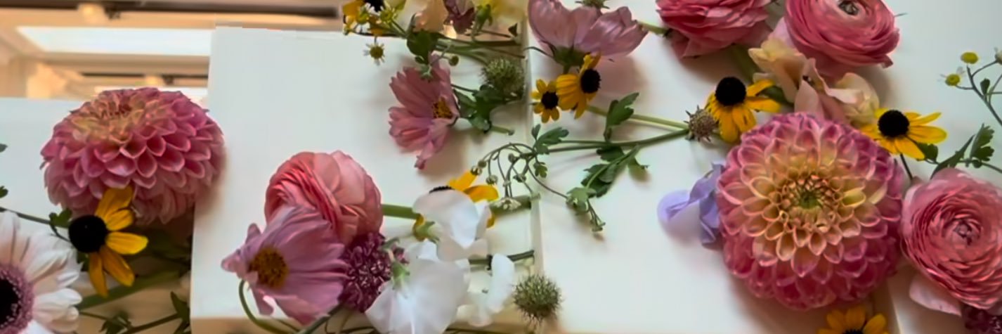 Christina Meitus banner