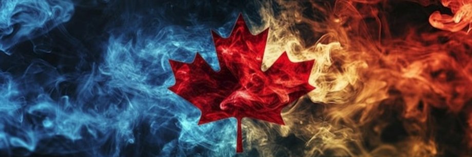 lfarley1's profile banner image