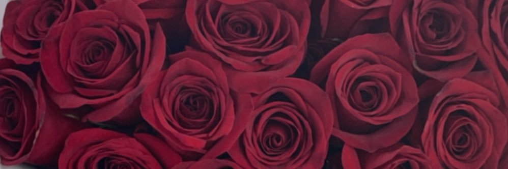 dreaxjimenez's profile banner image