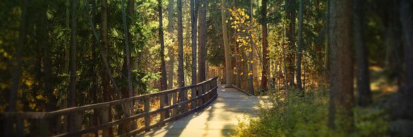 WildernessWheel Profile Banner