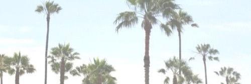 SheoFourtrisaf's profile banner image