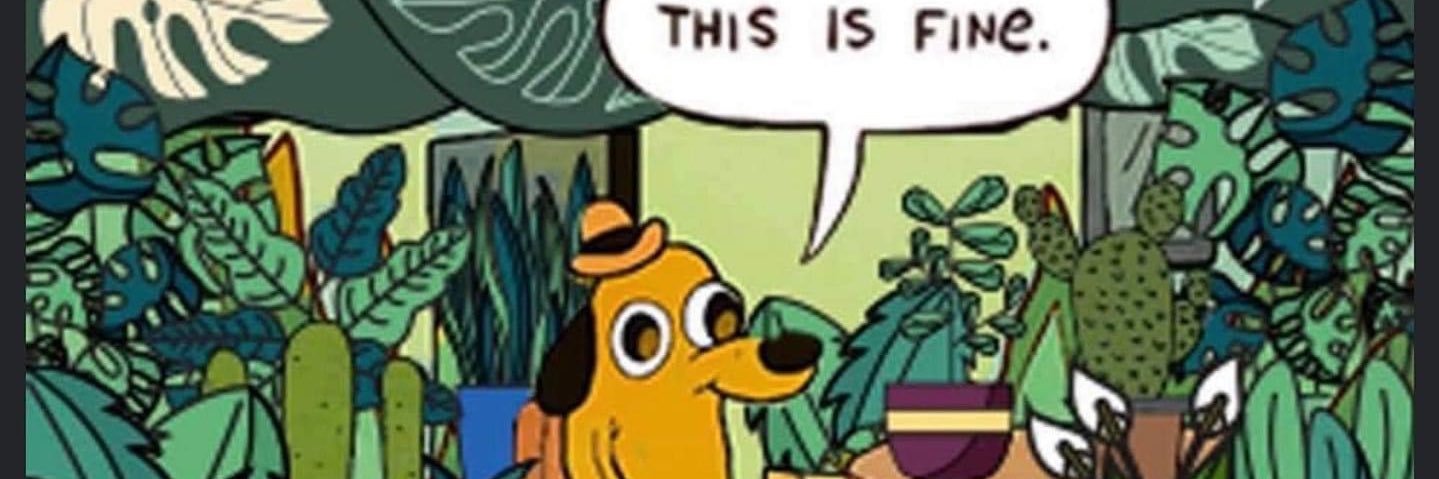 lindseyithink's profile banner image