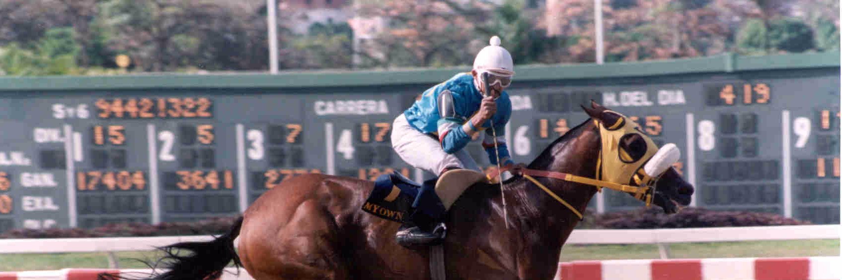 Luis Armando Higuerey González (@Harasganador) / Posts / X