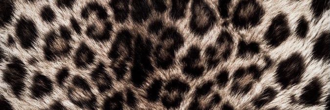 aaaalliiyah's profile banner image