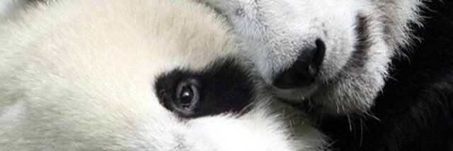 Fefe47300's profile banner image