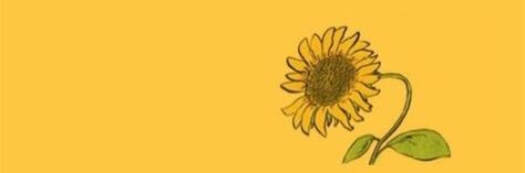 Ceairarocks's profile banner image