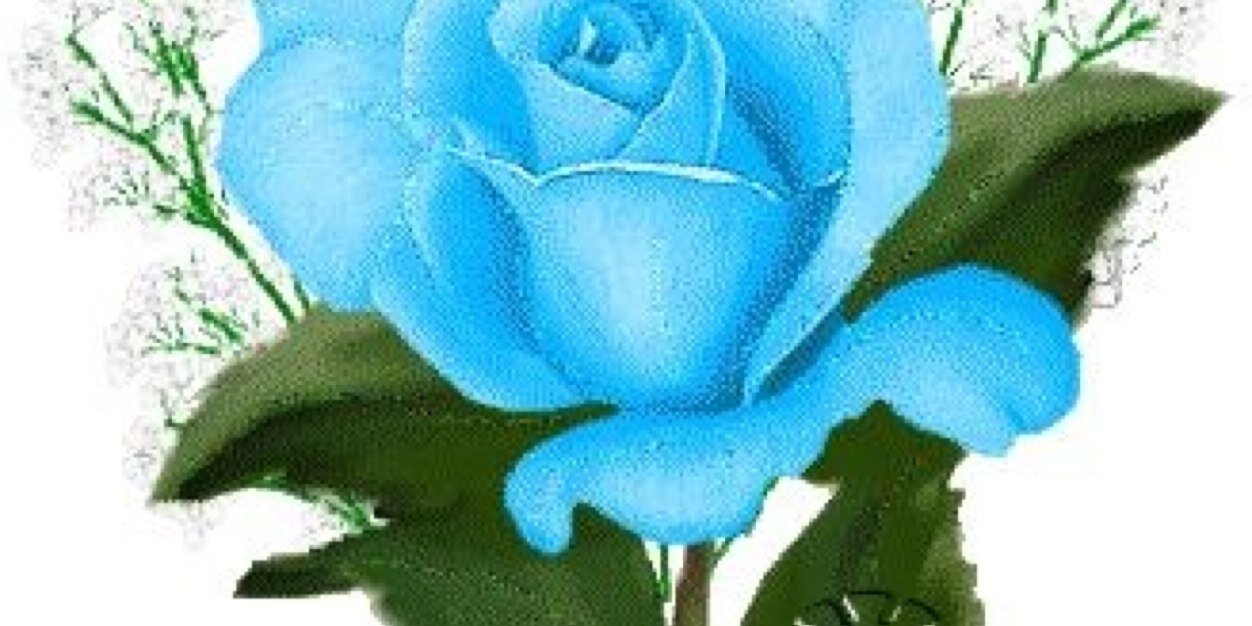 mataweel's profile banner image