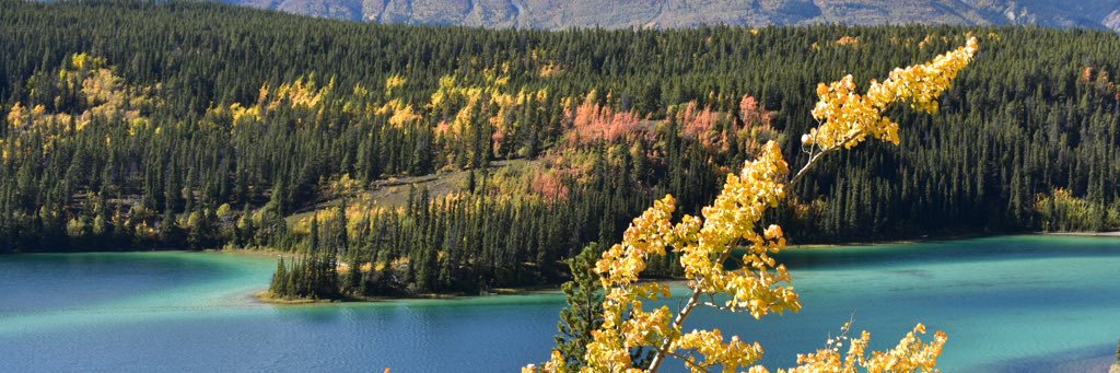 KathyMoragne's profile banner image