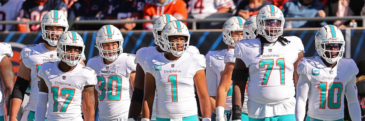 ThatDolphinsRealtor🏡🐬🔥 banner