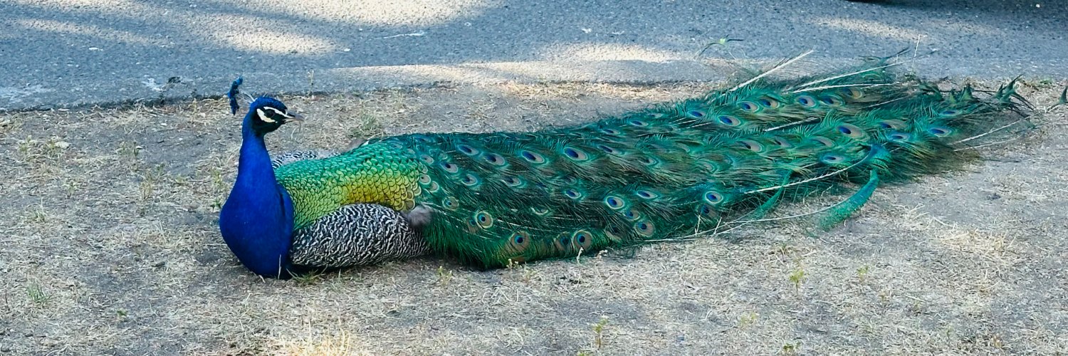 Hiren M. Patel banner