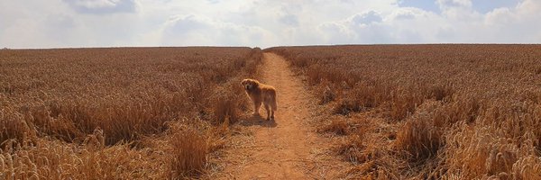 JayMitchinson Profile Banner