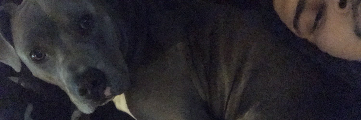 dbowilliams1's profile banner image