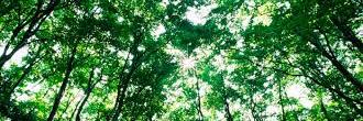 devoutjustin's profile banner image