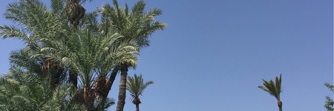 nikihussain_'s profile banner image