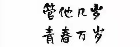 屁也不是9527 banner
