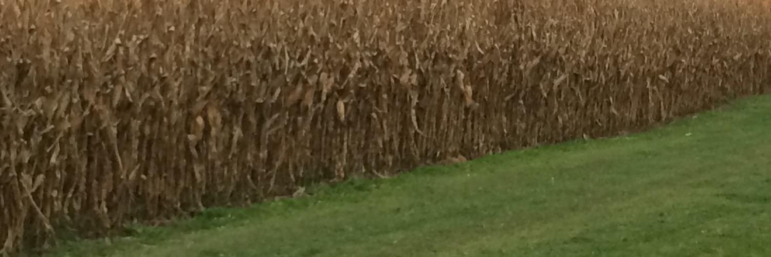 LukeZbinden's profile banner image