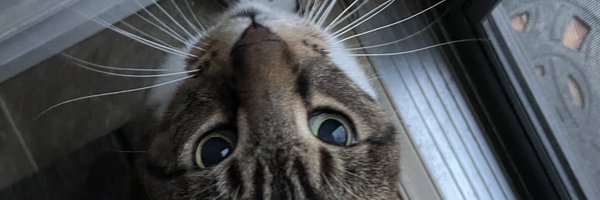 skcw Profile Banner