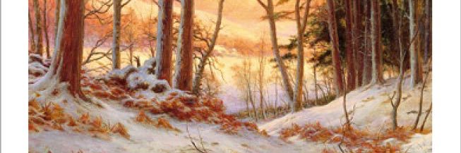 Roz Fae Fife🦊🐇🕷🦔🦇🐝 😺#FBR🏴󠁧󠁢󠁳󠁣󠁴󠁿 banner