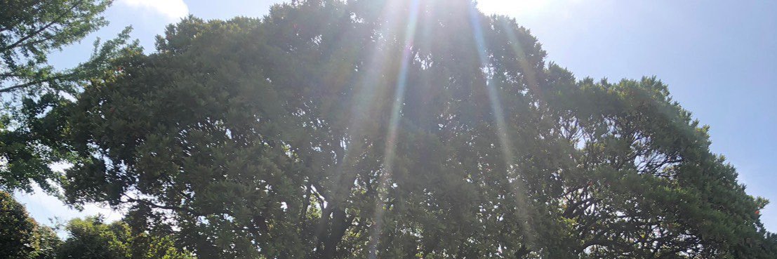 ihcak53's profile banner image