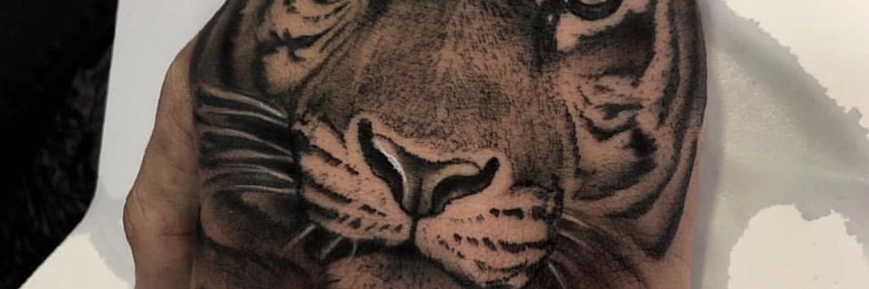 ArijanSaciri's profile banner image