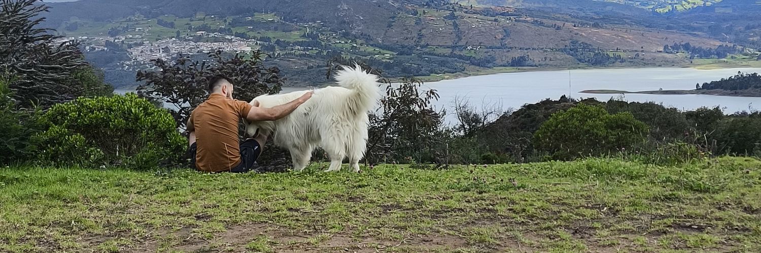 aliver salazar banner