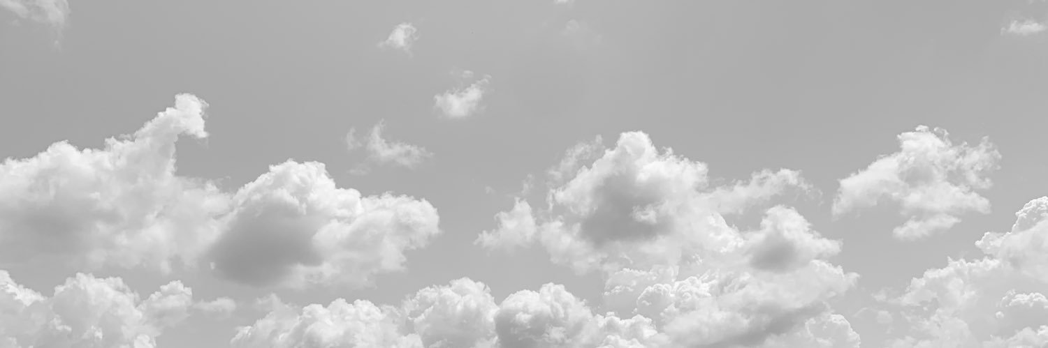 ravzza's profile banner image
