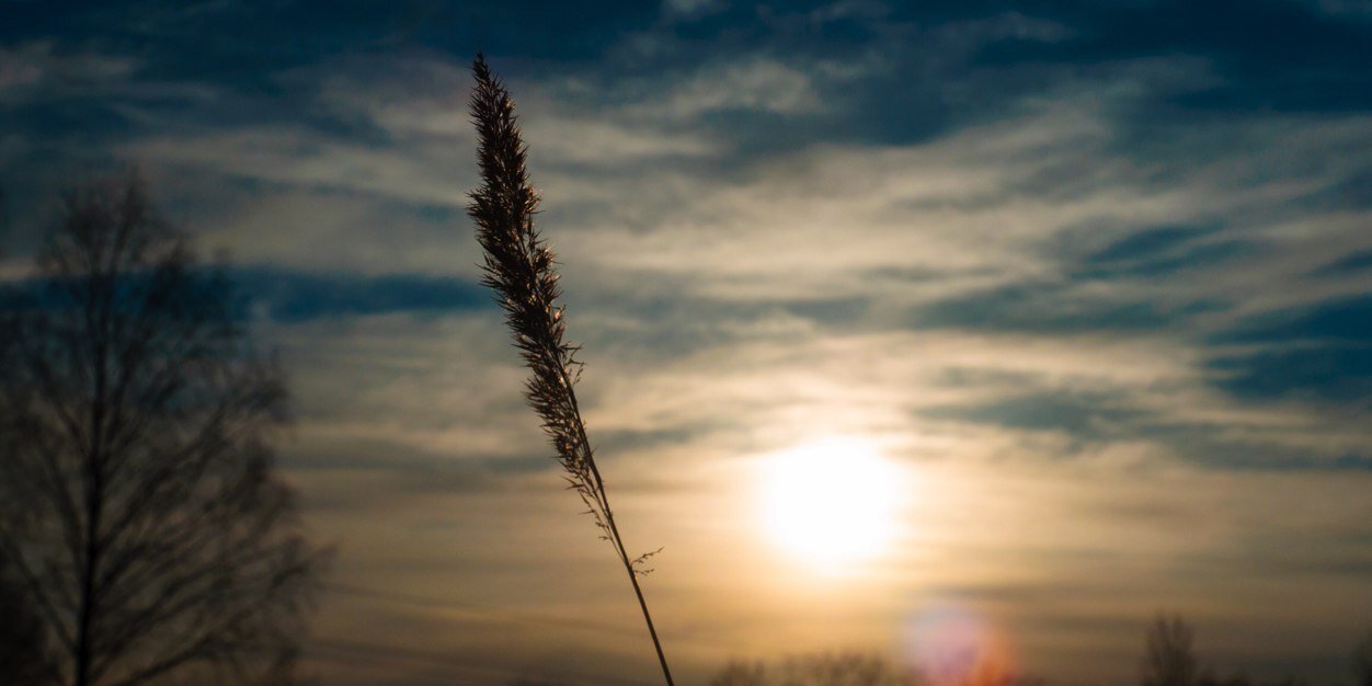 Danny_Mizyu's profile banner image