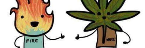 ATayebi2000's profile banner image
