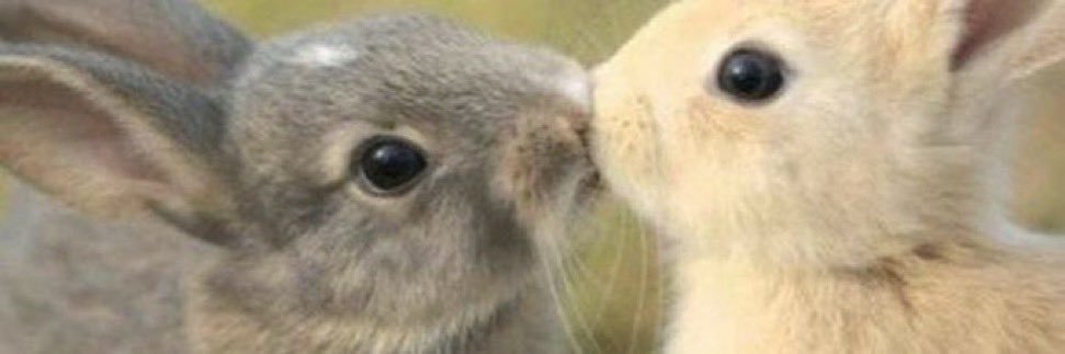 layykneee's profile banner image