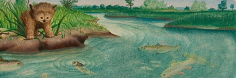 Kate Rozansky banner