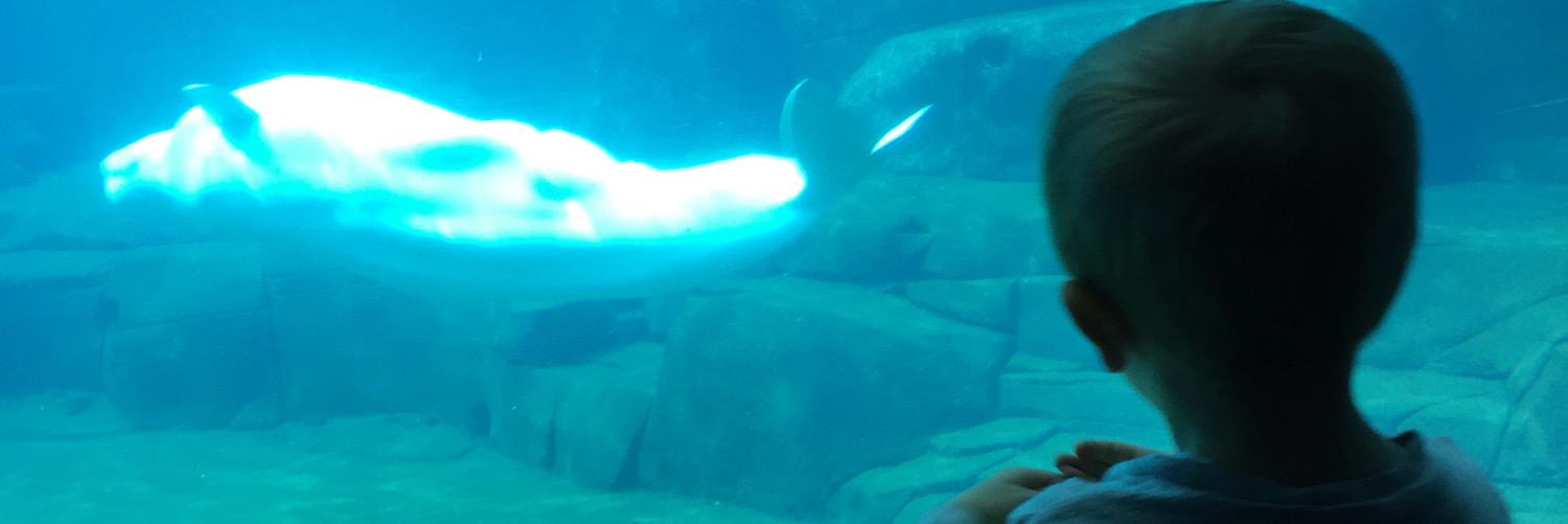 MorganKyle1's profile banner image