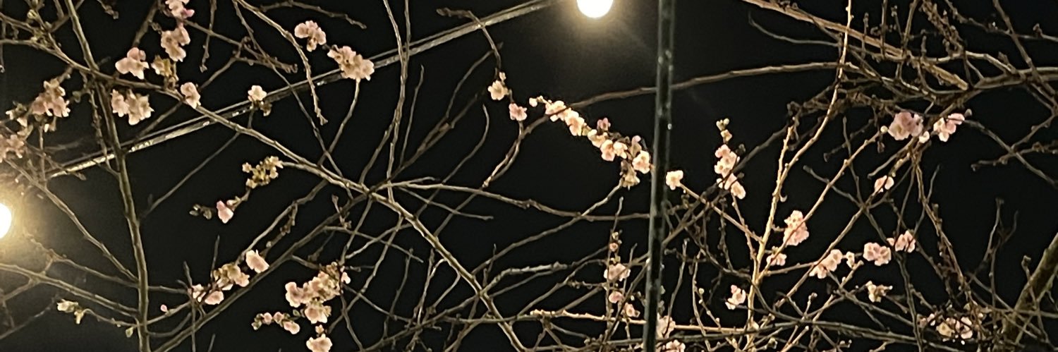 skeletonclque's profile banner image