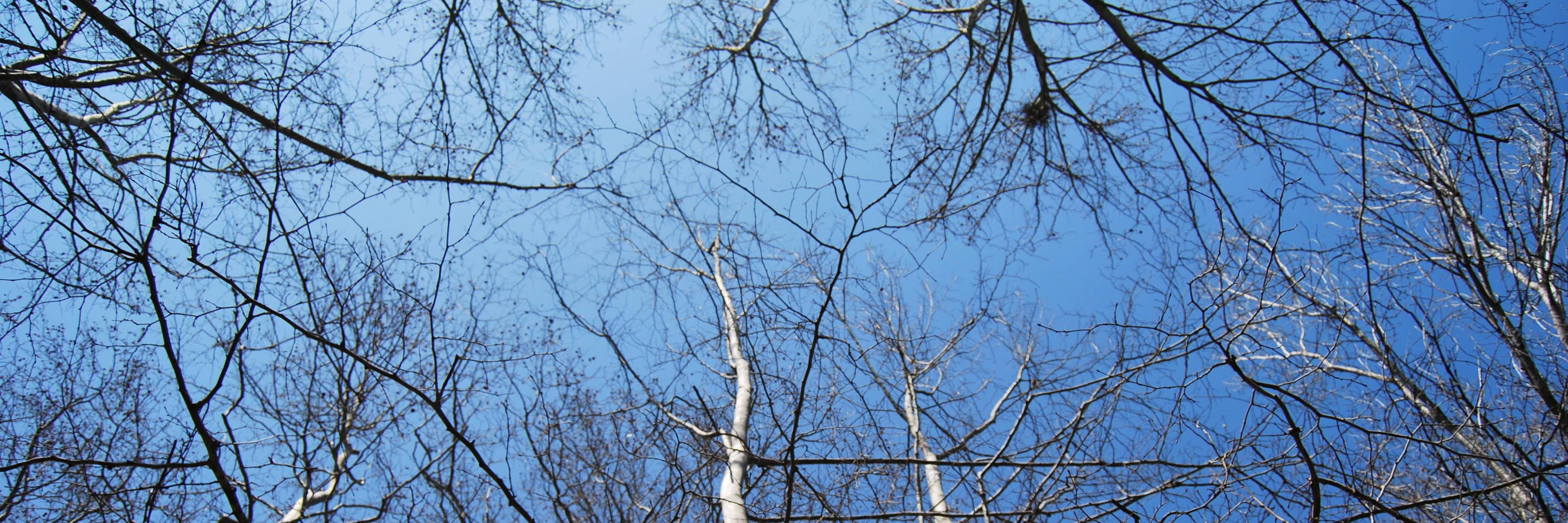 juuditpl's profile banner image