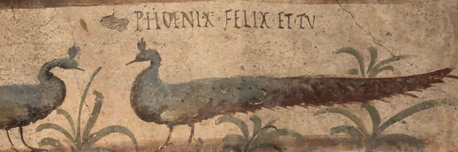 Mikocki's profile banner image