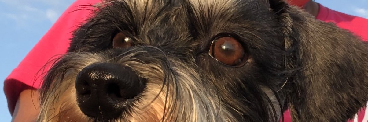 DanielaAleman07's profile banner image