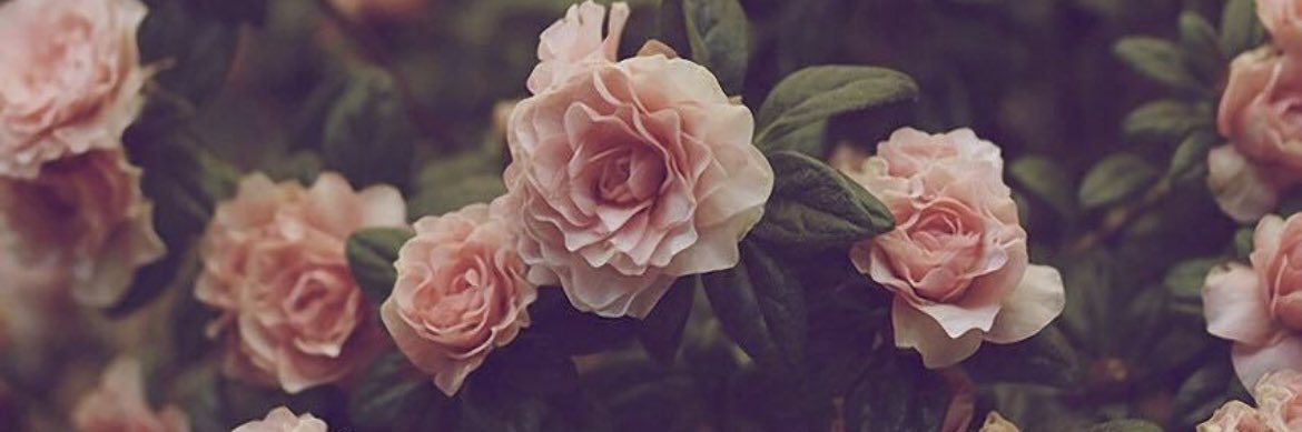 Nat-Nat✨🇭🇹 banner