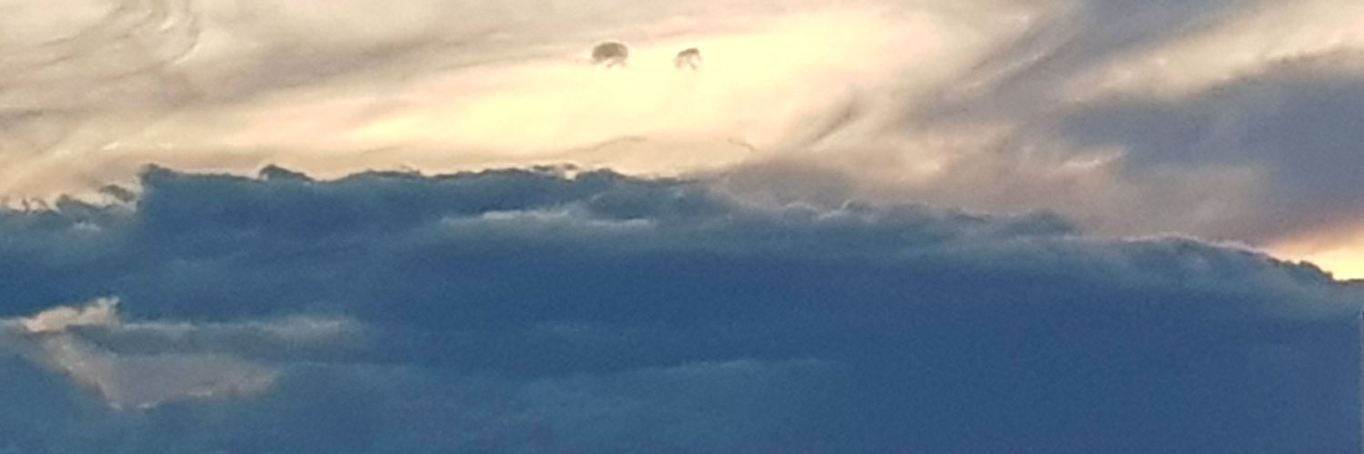 ᴋɪɴɢ ᴇʟᴠᴀᴇ banner