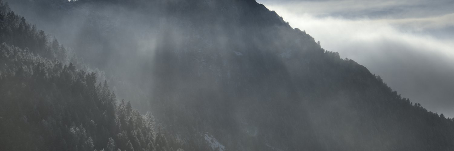 Ryan Vandersmith banner