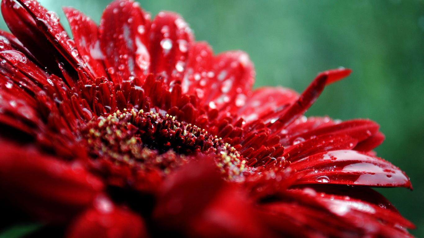 MatveyBokatov's profile banner image