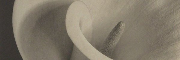 muglare Profile Banner