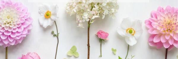 DeniseBroome2's profile banner image