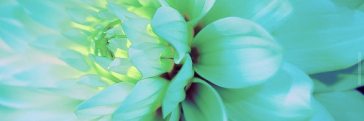 3lainee's profile banner image
