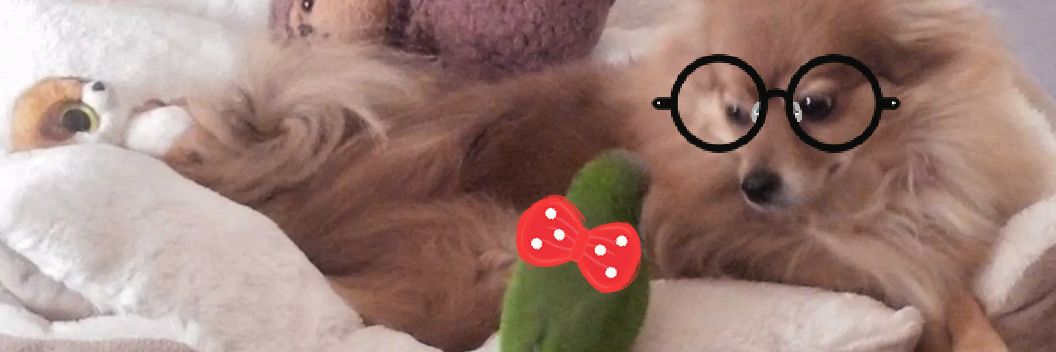 Cindympz's profile banner image