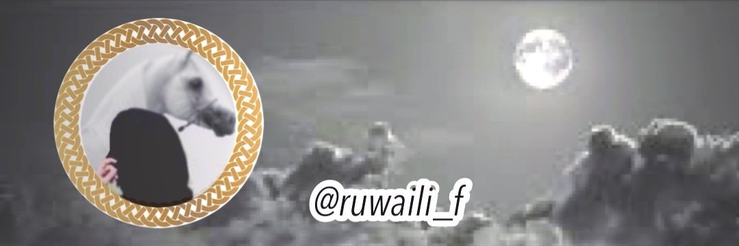 ruwaili_f's profile banner image