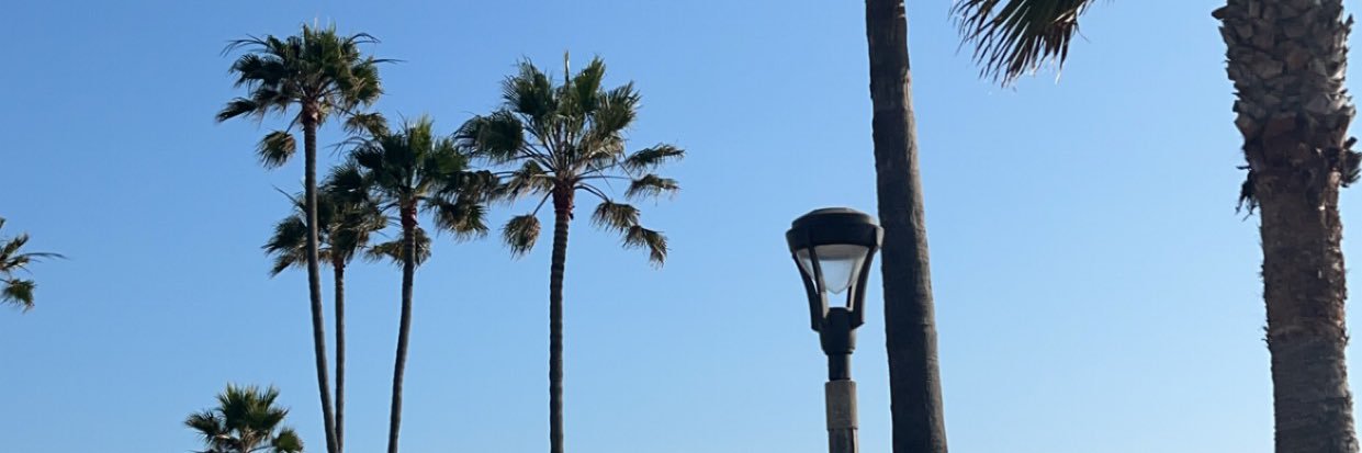 Von 🌹 banner