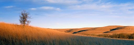 Rusty Shackleford banner