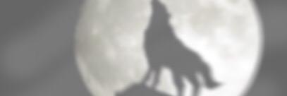 S_FFFT's profile banner image