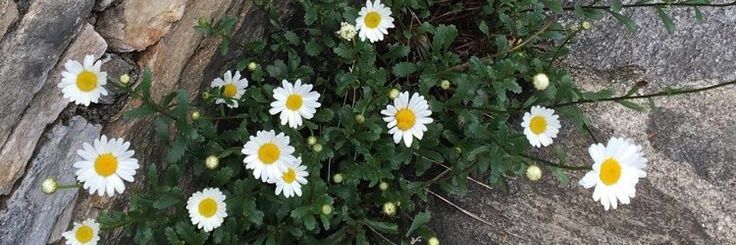 GeNui39's profile banner image