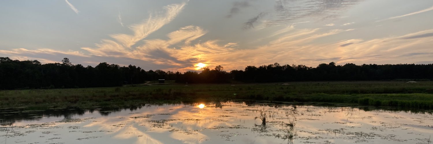 JasonBiles's profile banner image