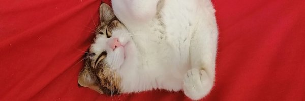 MaevaMT2 Profile Banner